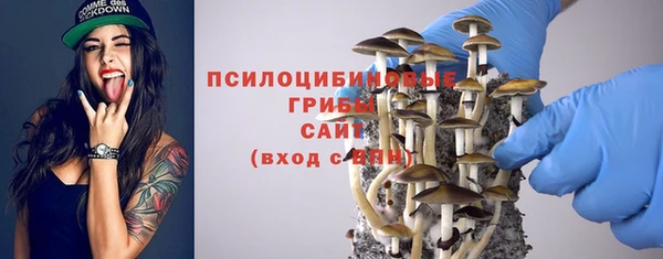 Альфа ПВП Гусиноозёрск