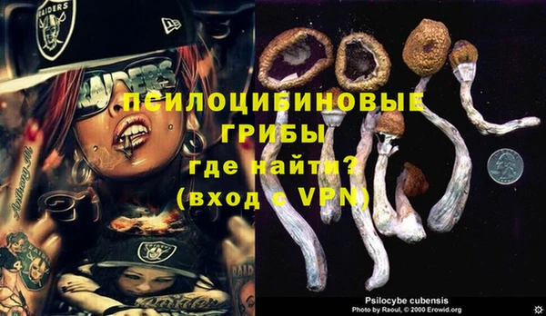 мяу мяу мука Вяземский